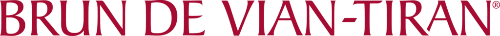 BVT_Logo quadri
