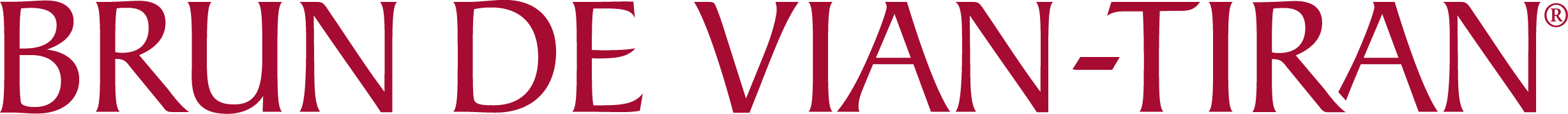 BVT_Logo quadri