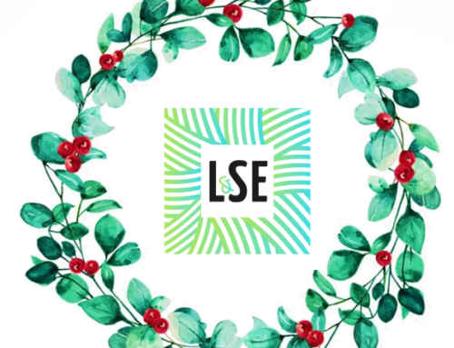 Vacances de Noël LSE …………………..