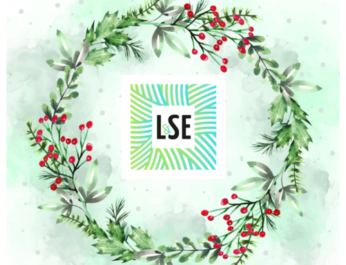 Vacances de Noël LSE …………………..