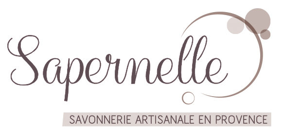 logoSapernelle-e1605627083741