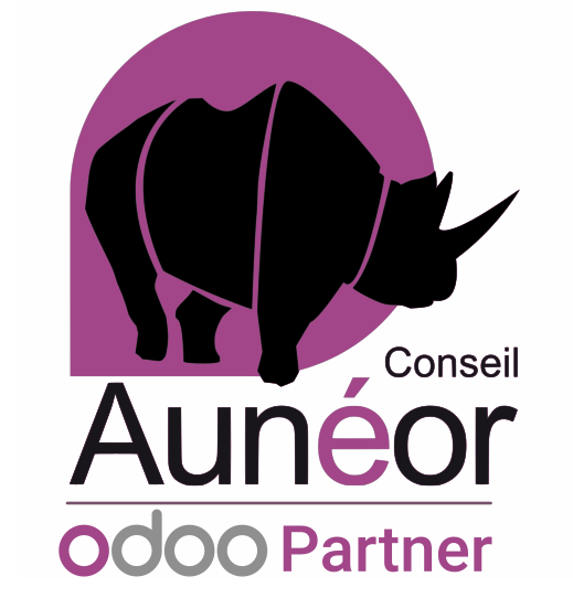 www.auneor-conseil