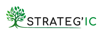 logo-strategie-ic-Horizontal