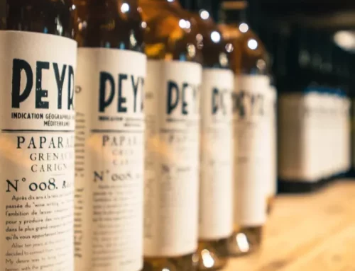 Offre d’emploi – Responsable œnotourisme polyvalent (H/F)